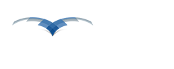 Aviation Link